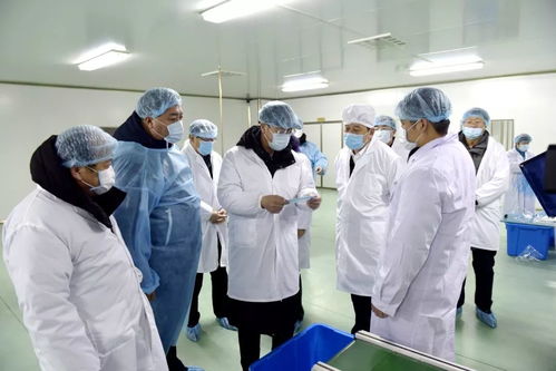省委常委 常務副省長吳靖平深入輝南縣醫用防護用品生產企業進行調研